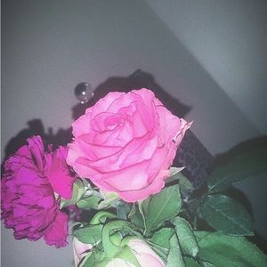 Meet your Posher, Raya